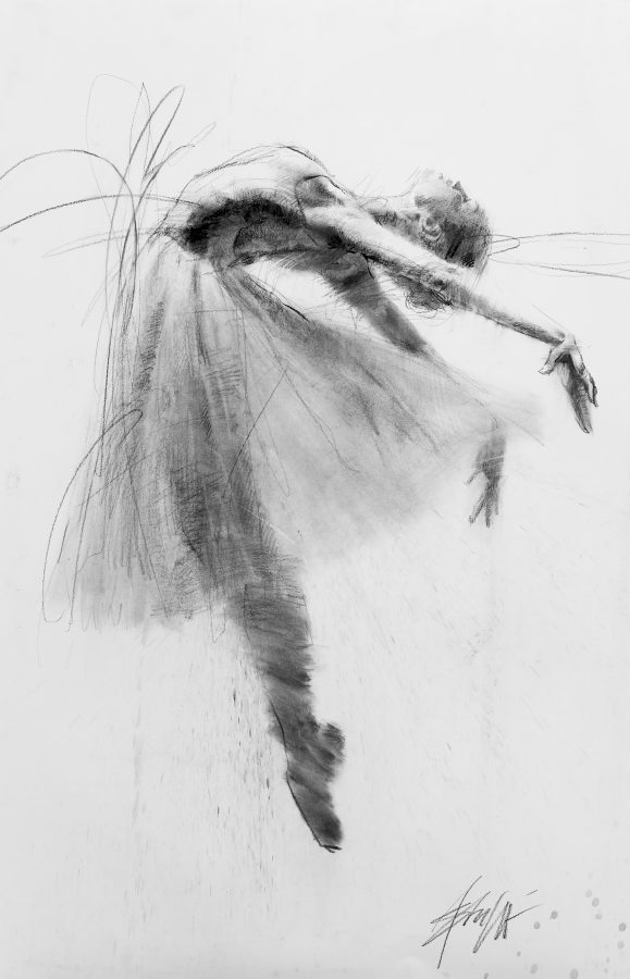 Shooting star – 26 x 40 Dash charcoal on paper